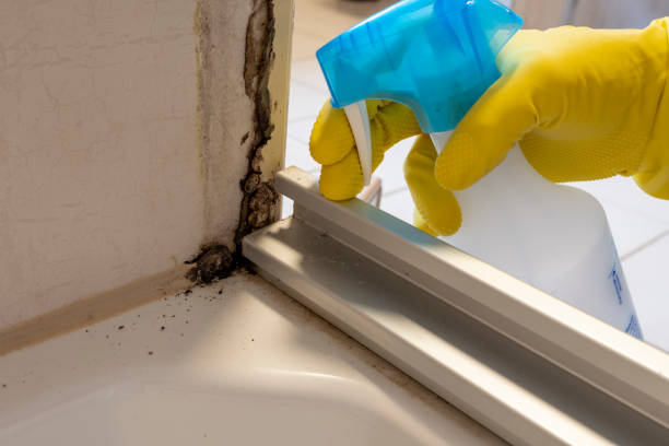 Best Professional Mold Removal  in Atlanta, TX