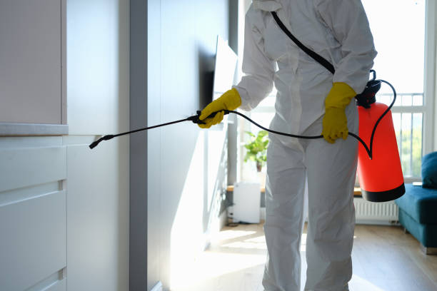 Office Mold Removal Services in Atlanta, TX