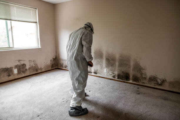 Best Office Mold Removal Services  in Atlanta, TX