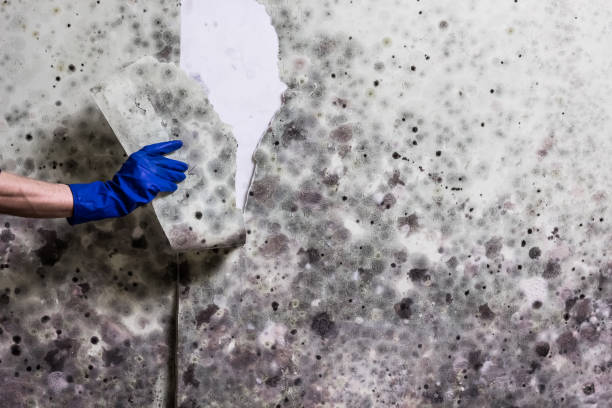 Water Damage Restoration in Atlanta, TX